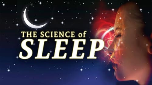 Still image taken from The Science of Sleep