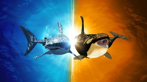 Still image taken from Killer Shark Vs. Killer Whale