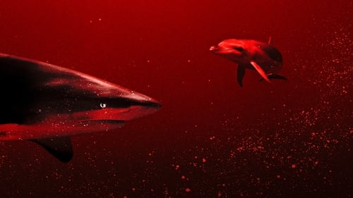 Still image taken from Sharks vs. Dolphins: Blood Battle