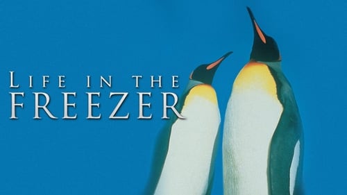 Still image taken from Life in the Freezer