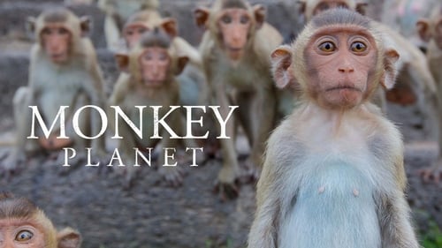 Still image taken from Monkey Planet