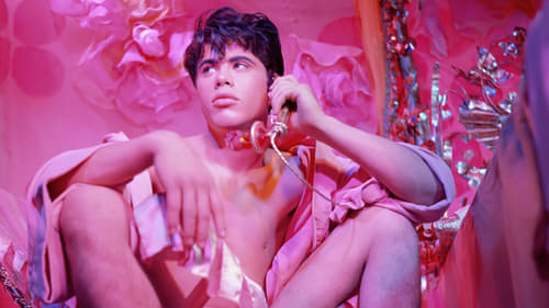 Still image taken from Pink Narcissus