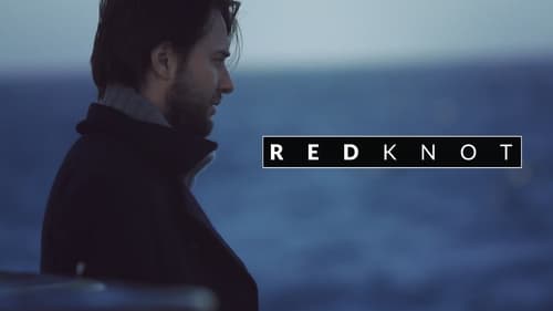 Still image taken from Red Knot