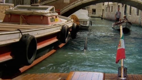 Still image taken from Shark in Venice