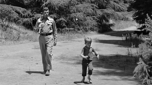 Still image taken from The Andy Griffith Show