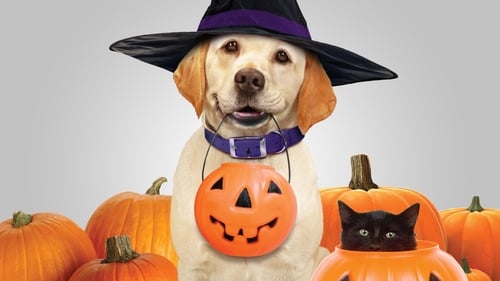 Still image taken from The Dog Who Saved Halloween