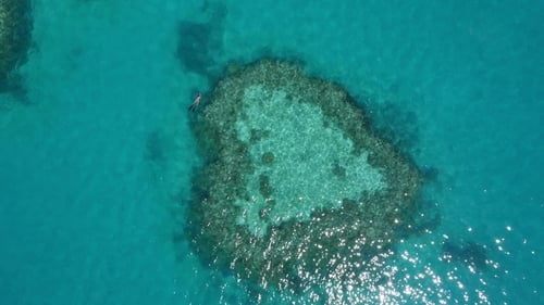 Still image taken from The Great Barrier Reef