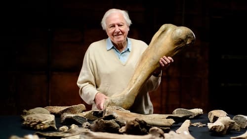Still image taken from Attenborough and the Mammoth Graveyard