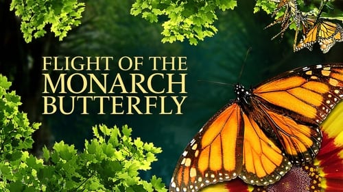 Still image taken from Flight of the Monarch Butterfly