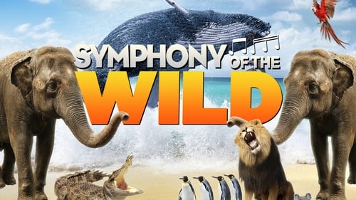 Still image taken from Symphony of the Wild