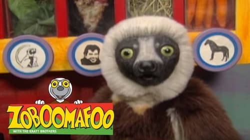 Still image taken from Zoboomafoo