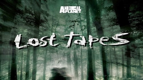 Still image taken from Lost Tapes