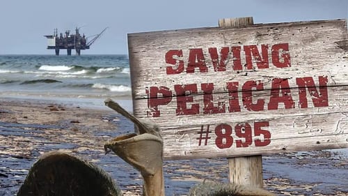 Still image taken from Saving Pelican 895