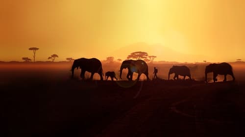 Still image taken from Walking with Elephants