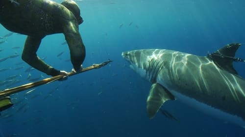 Still image taken from Great White Shark: Beyond the Cage of Fear