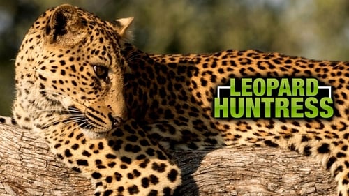 Still image taken from Leopard Huntress
