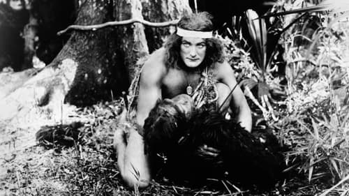 Still image taken from Tarzan of the Apes
