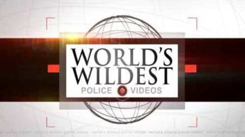 Still image taken from World's Wildest Police Videos