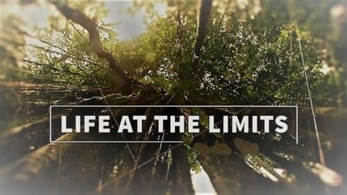 Still image taken from Life at the Limits